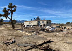 Neighborhood Blight