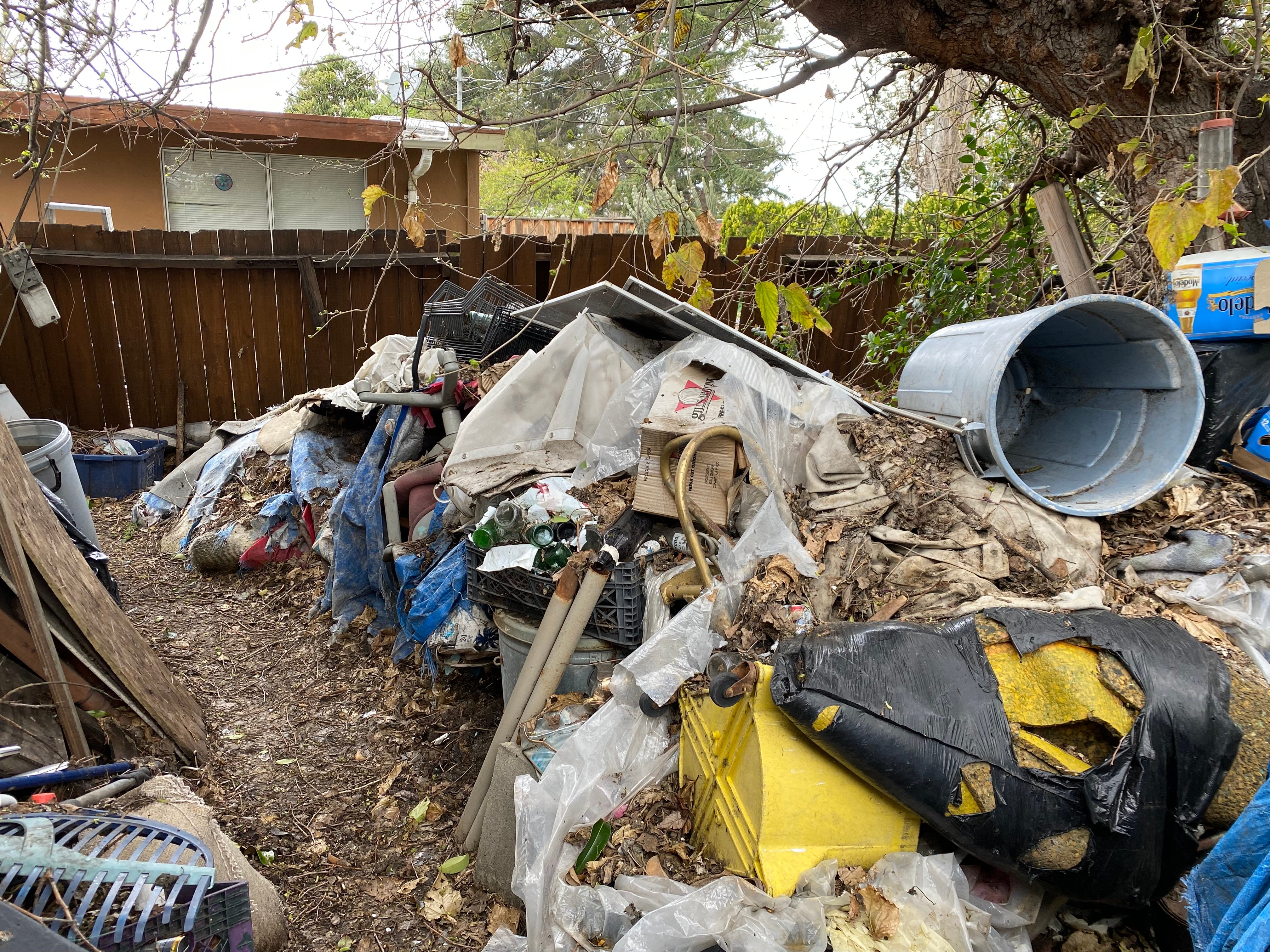 Photo Mar 23 2023, 11 00 23 AM