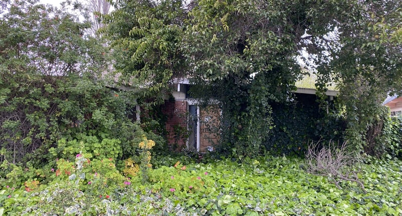 nuisance property