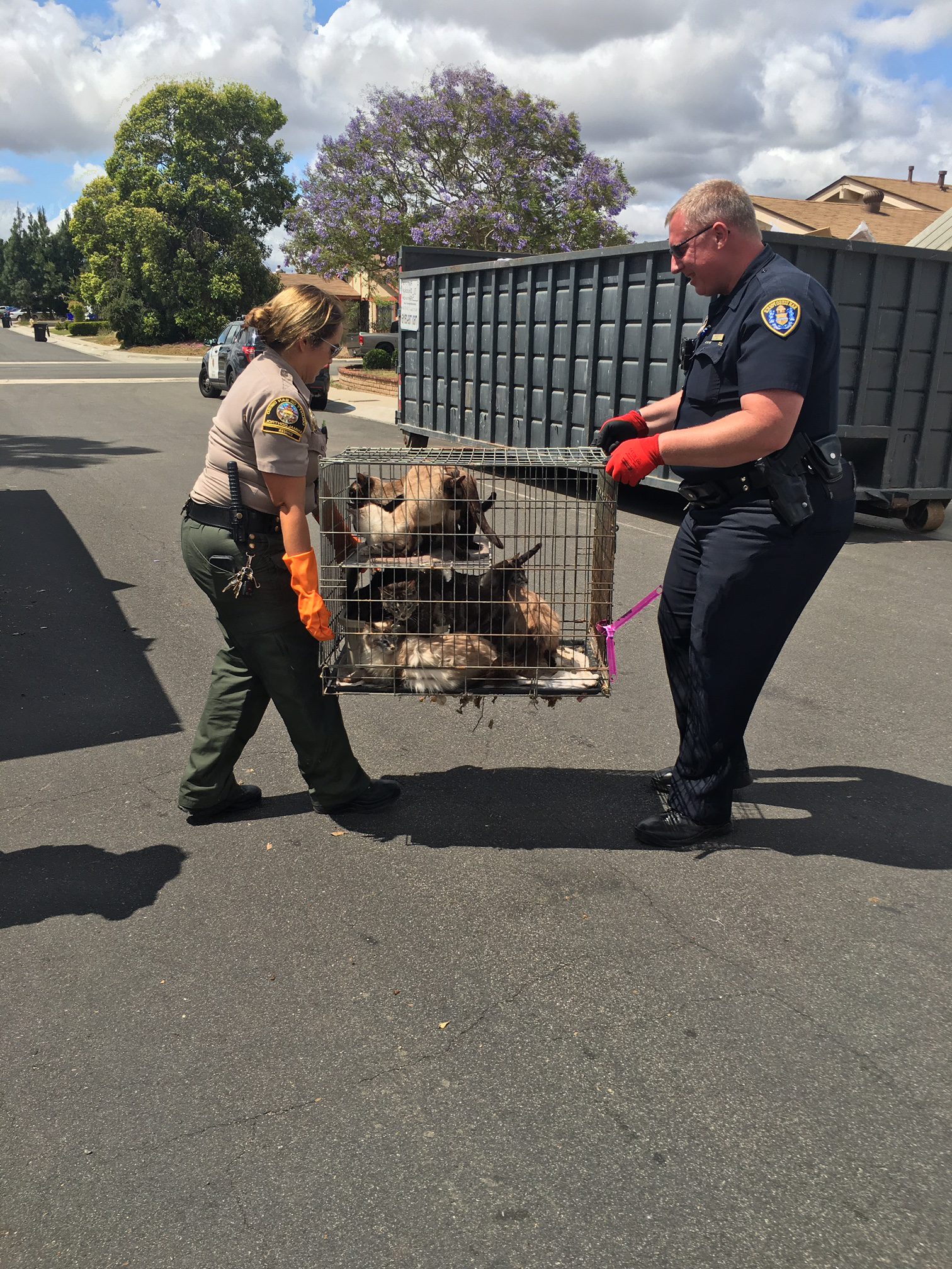 Health & Safety Receivership for Animal Hoarding Properties